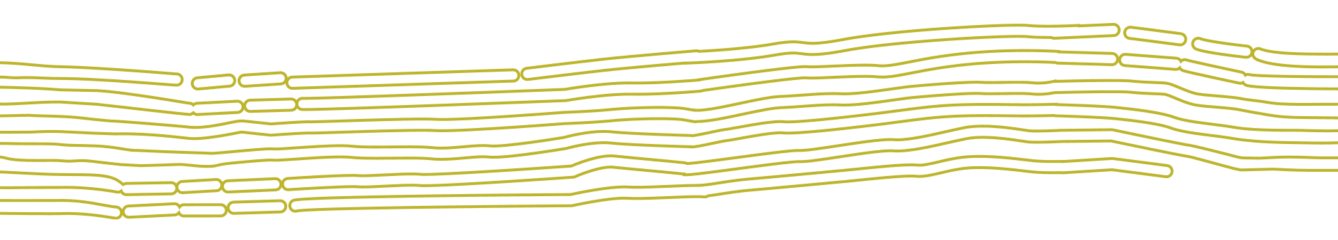 Decorative line